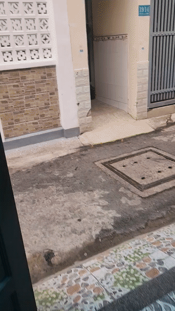 Cho thuê Nhà ở Quận Tân Bình Tp Hồ Chí Minh diện tích 82 m² giá 13 triệu/tháng