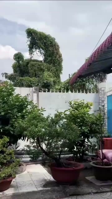 VARIO 2024 9c dọn kiểng full. Mua bán Xe máy tại Quận Ninh Kiều Cần Thơ được đăng bởi Phúc Cầu Bà Bộ 24l24 hình 1