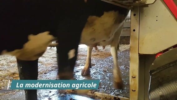 la modernisation du travail agricole