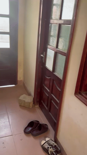 Cho thuê Phòng trọ Thành phố Đà Lạt Lâm Đồng diện tích 25 m² giá 1,6 triệu/tháng