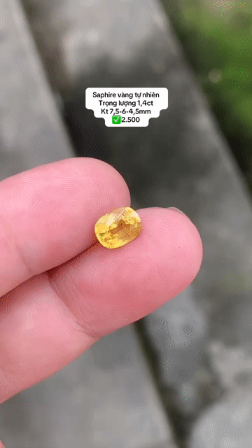 SD Sapphire vàng tự nhiên 1,4ct kt 7,5-6-4,5mm. Mua bán Đồ sưu tầm, đồ cổ tại Quận 1 Tp Hồ Chí Minh được đăng bởi Rio Natural Gemstone Jewelry hình 1
