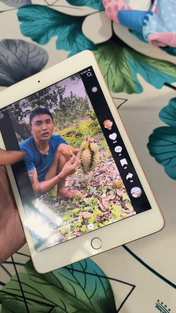 Apple iPad Mini 5 Vàng hồng Đã sử dụng. Mua bán Máy tính bảng tại Huyện Long Hồ Vĩnh Long được đăng bởi Anh Nô #TL hình 1