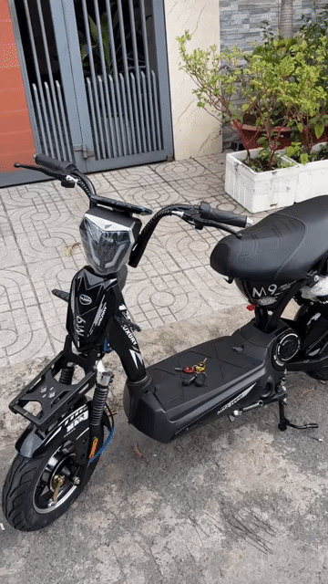 Xe điện 133 mới 100% siêu giảm giá cho học sinh. Mua bán Xe đạp tại Thành phố Biên Hòa Đồng Nai được đăng bởi XE ĐIỆN THÚY DUYÊN hình 1