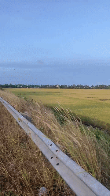 Mua bán Đất Thành phố Châu Đốc An Giang diện tích 3536 m² giá 2,2 tỷ
