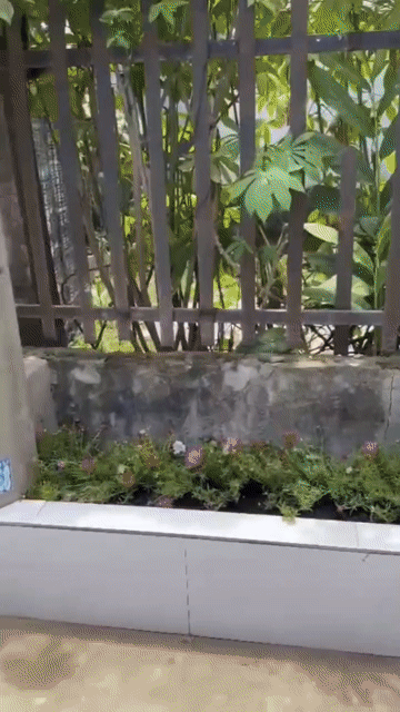 Mua bán Nhà ở Huyện Đức Hòa Long An diện tích 106 m² giá 2,3 tỷ