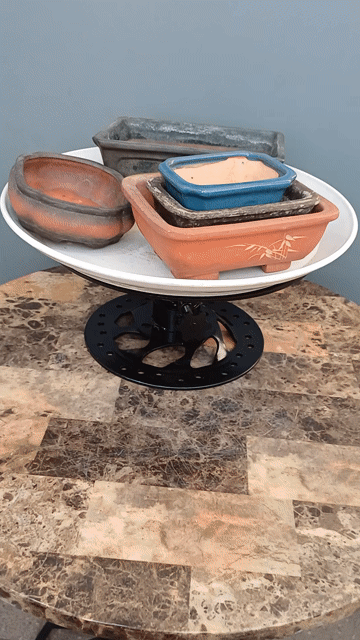 Combo 5 chậu bonsai chữ nhật kt 15-25 chỉ 150k. Mua bán Cây cảnh, đồ trang trí tại Quận Tân Bình Tp Hồ Chí Minh được đăng bởi Bonsai và Chậu xưa hình 1