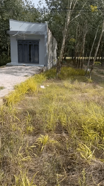 Mua bán Đất Huyện Dầu Tiếng Bình Dương diện tích 424.3999 m² giá 1 tỷ