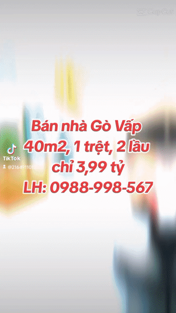 Mua bán Nhà ở Quận Gò Vấp Tp Hồ Chí Minh diện tích 40 m² giá 3,99 tỷ