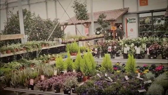 Les déboires du bûcheron, la solution du forgeron