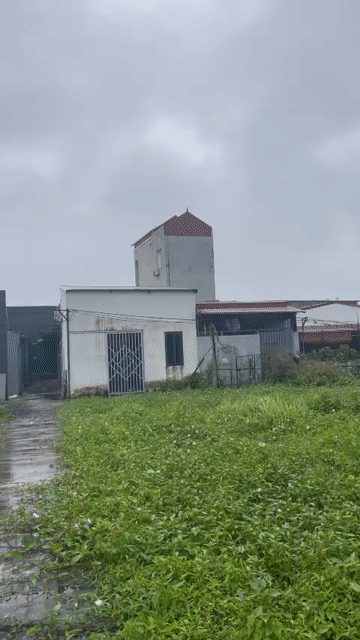 Mua bán Đất Huyện Thanh Trì Hà Nội diện tích 80 m² giá 800 triệu