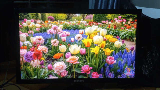 Màn Samsung 19 inch siêu mỏng, sáng đẹp. Mua bán Phụ kiện (Màn hình, Chuột...) tại Quận Bình Thạnh Tp Hồ Chí Minh được đăng bởi Võ Quốc Phòng hình 1