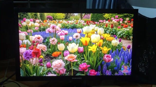 Màn Samsung 19 inch siêu mỏng, sáng đẹp. Mua bán Phụ kiện (Màn hình, Chuột...) tại Quận Bình Thạnh Tp Hồ Chí Minh được đăng bởi Võ Quốc Phòng hình 1