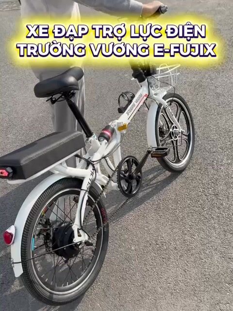 Xe đạp điện TRƯỜNG VƯƠNG E FUJIX. Mua bán Xe điện tại Quận Hoàng Mai Hà Nội được đăng bởi Ninh Anh hình 1