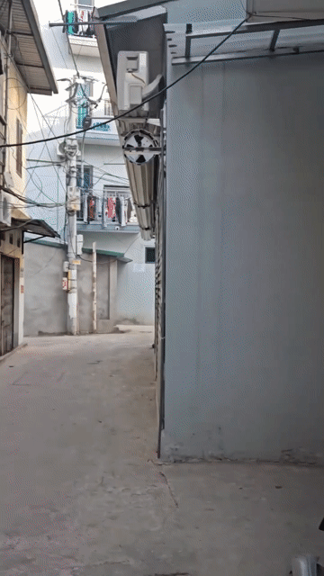 Cho thuê Căn hộ Chung cư Huyện Hoài Đức Hà Nội diện tích 25 m² giá 1,9 triệu/tháng