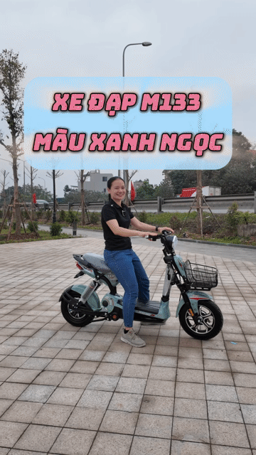 Xe đạp điện M133. Mua bán Xe đạp tại Huyện Đông Anh Hà Nội được đăng bởi XE ĐIỆN VŨ HẢI  hình 1