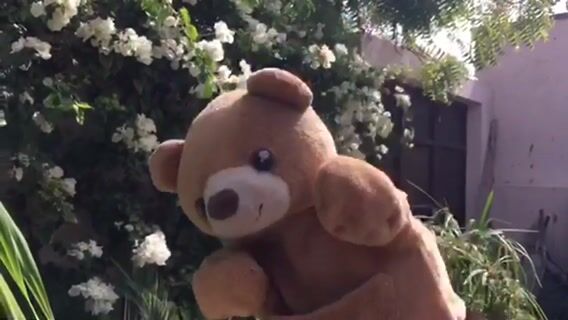 Et si l'on tournait?