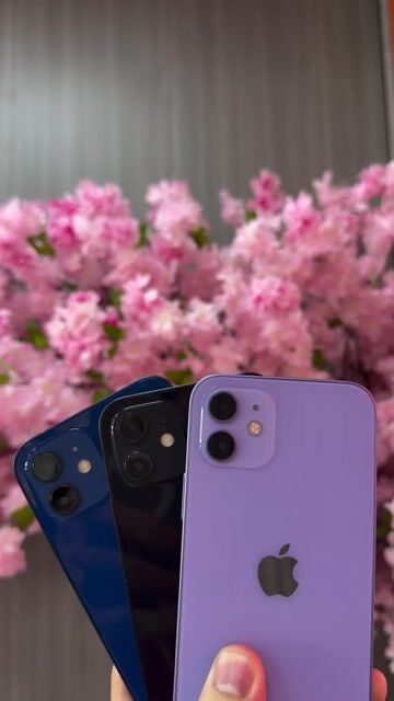 12 THƯỜNG 64GB HỖ TRỢ Góp ( Nợ xấu bao đậu). Mua bán Điện thoại tại Thành phố Thuận An Bình Dương được đăng bởi danh cam táo hình 1