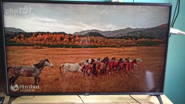 Smart Tivi LG 4K 43 inch sáng đẹp, mã 43UJ652T. Mua bán Tivi, Âm thanh tại Quận Bình Thạnh Tp Hồ Chí Minh được đăng bởi Võ Quốc Phòng hình 1