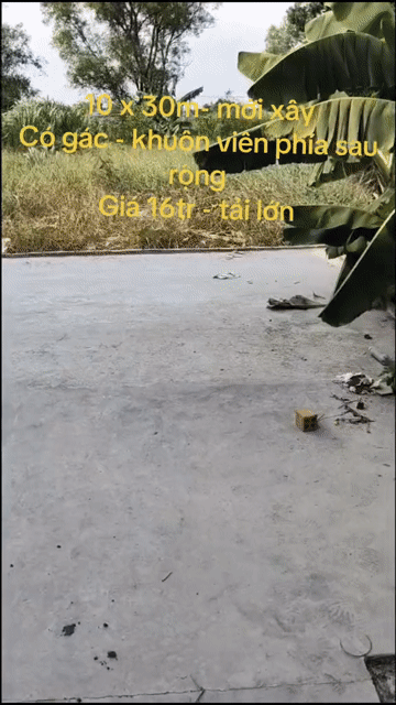 Cho thuê Văn phòng, Mặt bằng kinh doanh Huyện Bình Chánh Tp Hồ Chí Minh diện tích 300 m² giá 16 triệu/tháng