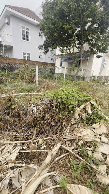 Mua bán Đất Thành phố Vũng Tàu Bà Rịa - Vũng Tàu diện tích 394 m² giá 25 tỷ