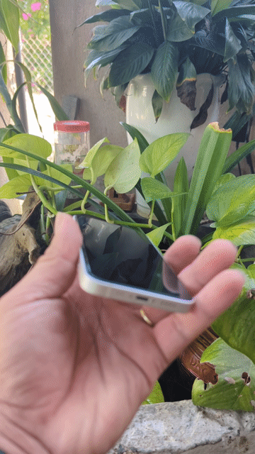 Apple iPhone 12 mini Trắng. Mua bán Điện thoại tại Huyện Hòa Vang Đà Nẵng được đăng bởi lâm hình 1