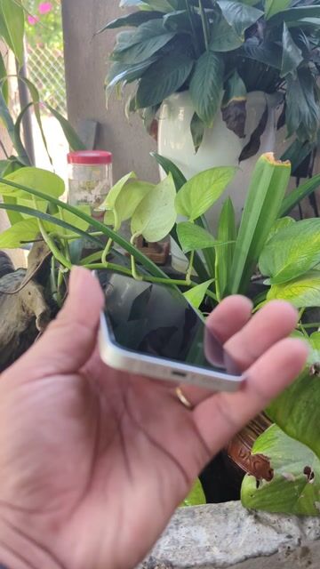 Apple iPhone 12 mini Trắng. Mua bán Điện thoại tại Huyện Hòa Vang Đà Nẵng được đăng bởi lâm hình 1
