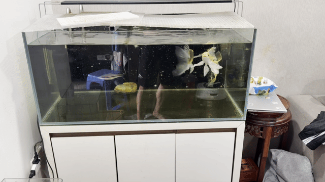 Bể cá kính siêu trong 90cm lọc Atman 1300. Mua bán Phụ kiện, Thức ăn, Dịch vụ tại Quận Lê Chân Hải Phòng được đăng bởi khiêm hình 1