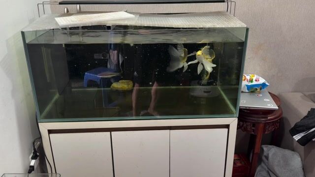 Bể cá kính siêu trong 90cm lọc Atman 1300. Mua bán Phụ kiện, Thức ăn, Dịch vụ tại Quận Lê Chân Hải Phòng được đăng bởi khiêm hình 1