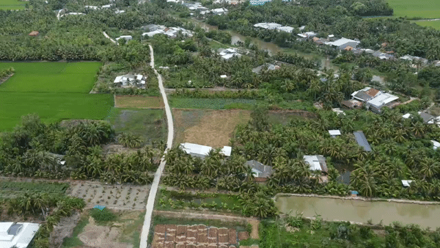 Mua bán Đất Huyện Tam Bình Vĩnh Long diện tích 5553 m² giá 4,443 tỷ