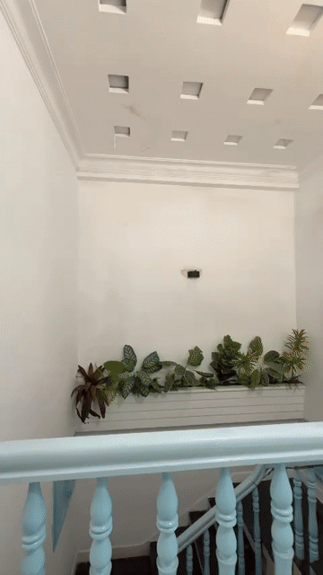 Cho thuê Căn hộ Chung cư Quận 5 Tp Hồ Chí Minh diện tích 40 m² giá 6,3 triệu/tháng