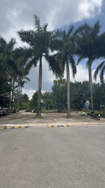 Cho thuê Đất Thành phố Thủ Đức Tp Hồ Chí Minh diện tích 1000 m² giá 20 triệu/tháng