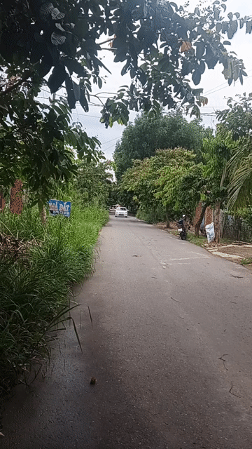 Mua bán Đất Huyện Nhơn Trạch Đồng Nai diện tích 272 m² giá 5 tỷ