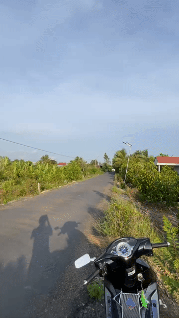 Mua bán Đất Huyện Tháp Mười Đồng Tháp diện tích 250 m² giá 750 triệu
