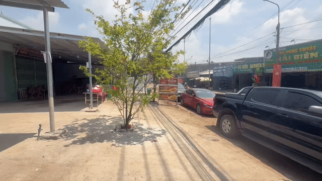 Cho thuê Văn phòng, Mặt bằng kinh doanh Thành phố Biên Hòa Đồng Nai diện tích 80 m² giá 6,5 triệu/tháng