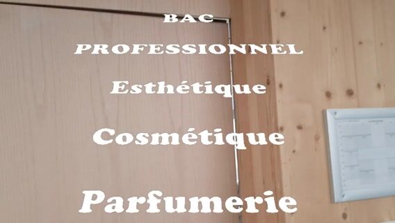 Bac Professionnel Esthétique-Cosmétique-Parfumerie
