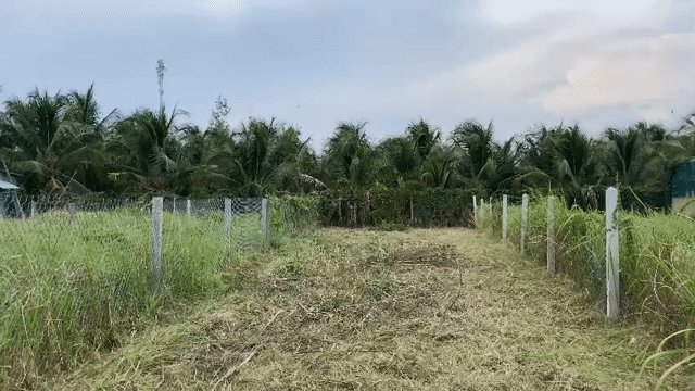 Mua bán Đất Thành phố Mỹ Tho Tiền Giang diện tích 161.6 m² giá 1,69 tỷ