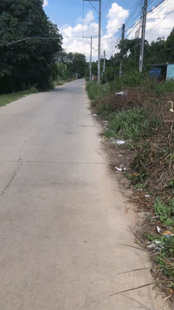Cho thuê Nhà ở Huyện Bàu Bàng Bình Dương diện tích 500 m² giá 2 triệu/tháng