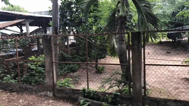 Mua bán Đất Huyện Củ Chi Tp Hồ Chí Minh diện tích 715 m² giá 7,8 tỷ