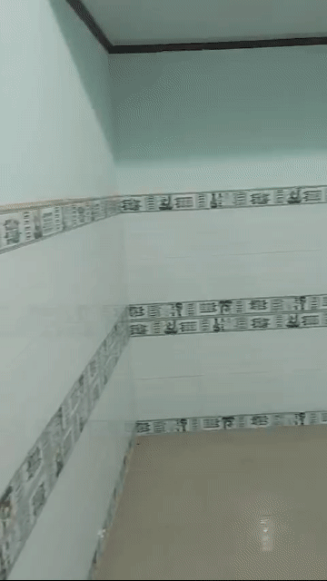 Cho thuê Phòng trọ Quận Gò Vấp Tp Hồ Chí Minh diện tích 20 m² giá 3 triệu/tháng