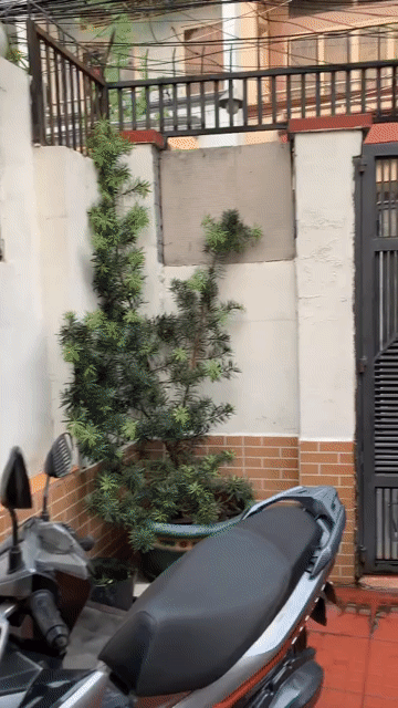 Cho thuê Nhà ở Quận 4 Tp Hồ Chí Minh diện tích 75 m² giá 11 triệu/tháng
