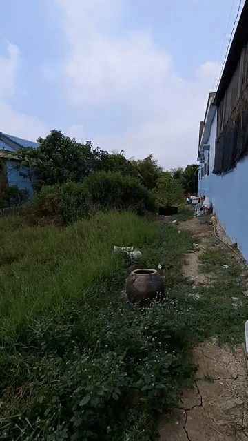 Mua bán Đất Huyện Đức Huệ Long An diện tích 200 m² giá 1,65 tỷ