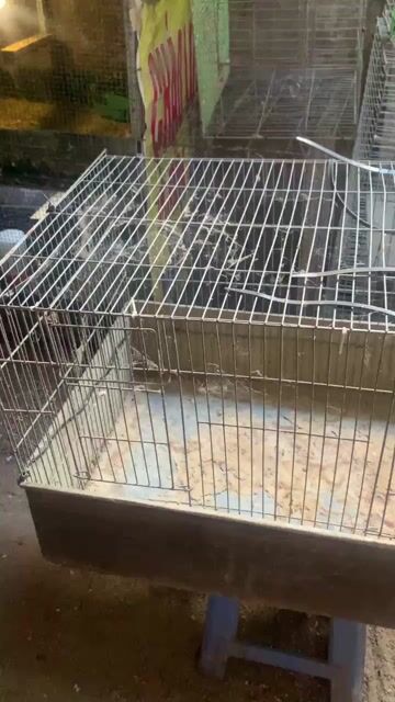 Chuồng gà 40x80 Kim loại Xám. Mua bán Phụ kiện, Thức ăn, Dịch vụ tại Huyện Bình Chánh Tp Hồ Chí Minh được đăng bởi Trương hình 1