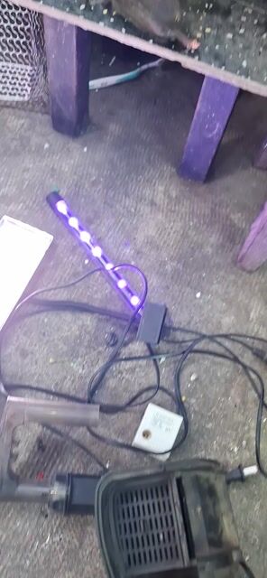 Phụ kiện bể cá Đen, Trắng, Tím. Mua bán Phụ kiện, Thức ăn, Dịch vụ tại Quận 4 Tp Hồ Chí Minh được đăng bởi  mr thắng second  hình 1