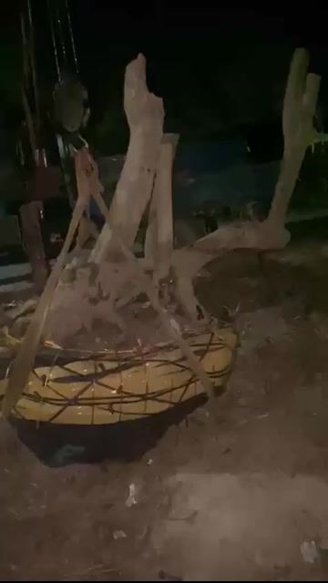 Cây cảnh Lekima. Mua bán Cây cảnh, đồ trang trí tại Thành phố Tuy Hòa Phú Yên được đăng bởi Phan tấn đạt  hình 1