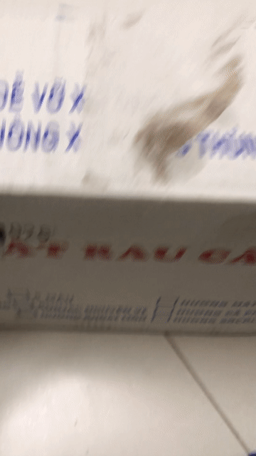 Thạch rau câu Dou Xian Trà sữa Thùng 6 hộp. Mua bán Đồ ăn, thực phẩm và các loại khác tại Quận 7 Tp Hồ Chí Minh được đăng bởi Xuân nhất hình 1