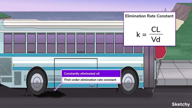 elimination-rate-constant-half-life-steady-state-free-sketchy