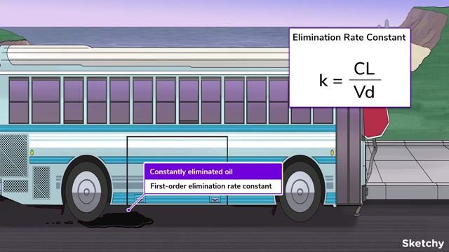 Elimination-Rate Constant, Half-Life & Steady State - Free Sketchy Medical  Lesson