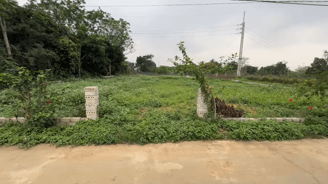 Mua bán Đất Huyện Chương Mỹ Hà Nội diện tích 936 m² giá 6 tỷ