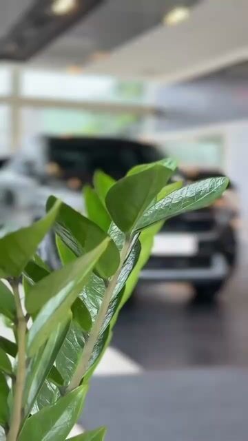 Seltos 1.5AT 5c gầm cao 188tr nhận xe ko phát sinh. Mua bán Ô tô tại Quận Cái Răng Cần Thơ được đăng bởi Trang KIA MAZDA CẦN THƠ hình 1