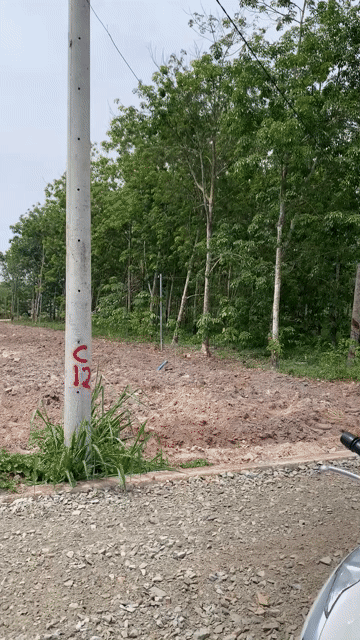 Mua bán Đất Huyện Chơn Thành Bình Phước diện tích 250 m² giá 850 triệu